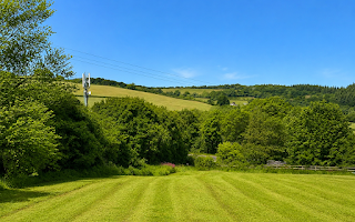 The field at Welcome Walkies — Liverton, Devon